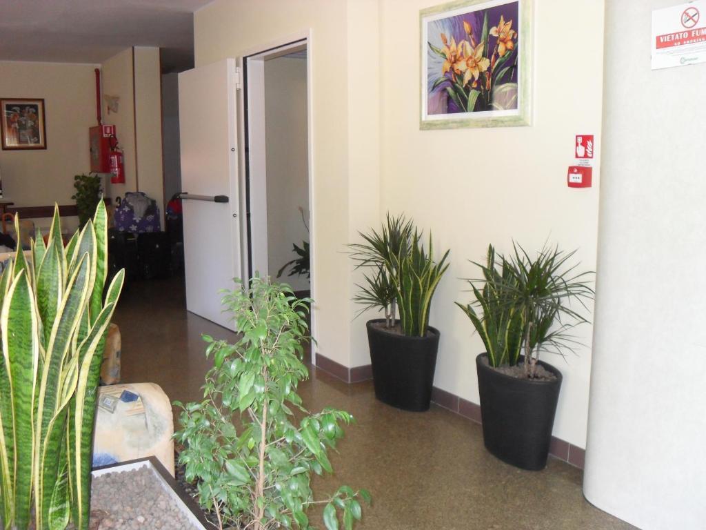 Hotel Zani تّشيرفييا المظهر الخارجي الصورة